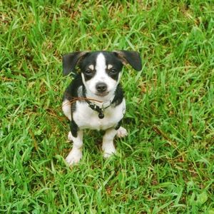 Meet your Posher, Edith